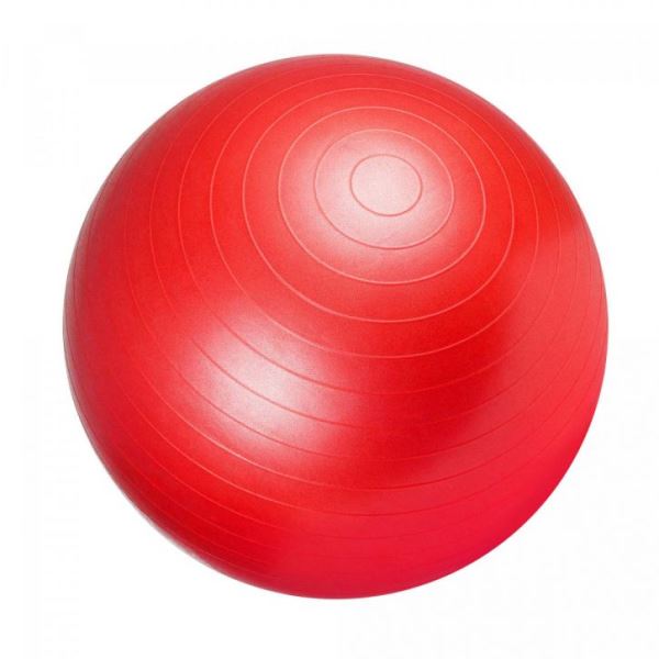 55cm Exercise Gym Ball