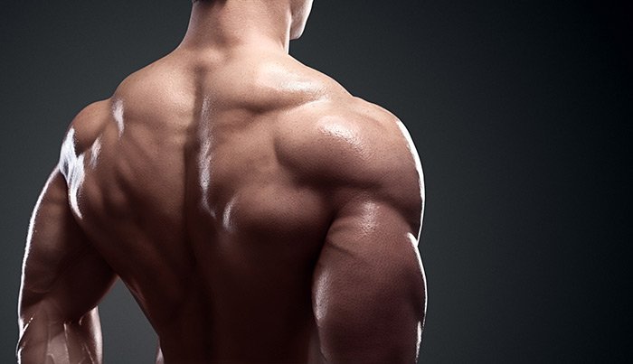 Tremendous Traps - the Key to Building Thick Trapezius Muscles