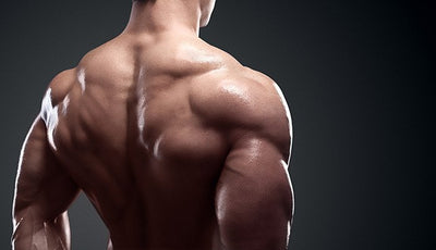 Tremendous Traps - the Key to Building Thick Trapezius Muscles