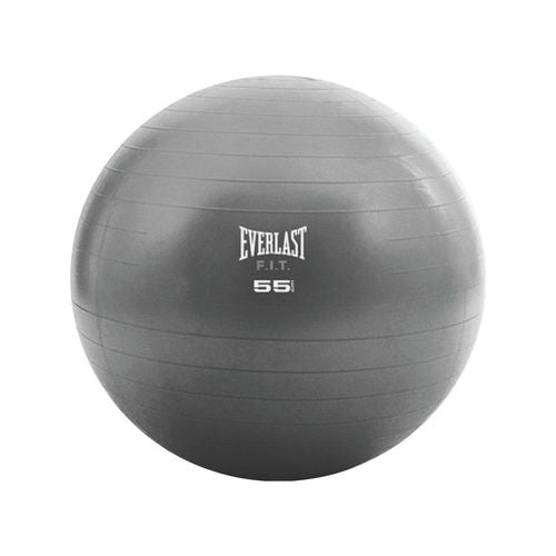 Everlast Core Strength Exercise Ball