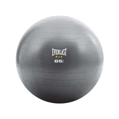 Everlast Core Strength Exercise Ball Image 2