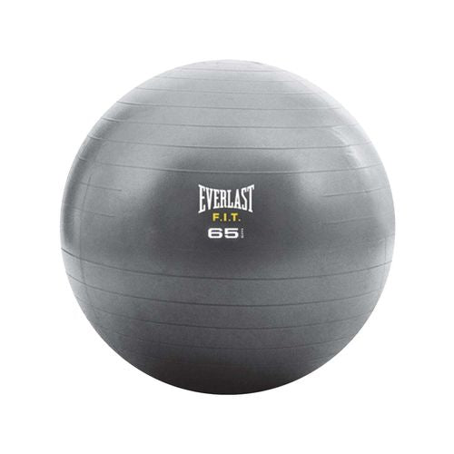 Everlast Core Strength Exercise Ball Image 2