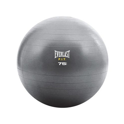 Everlast Core Strength Exercise Ball Image 3