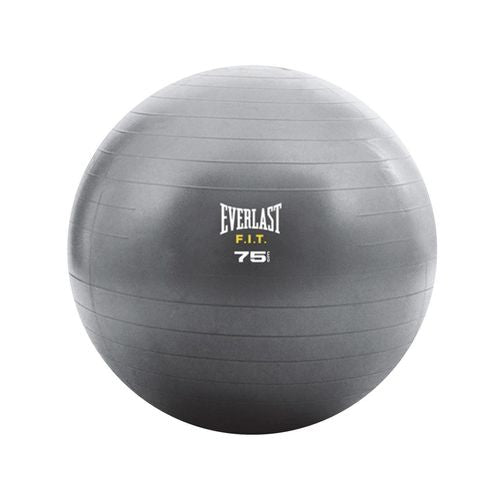 Everlast Core Strength Exercise Ball Image 3