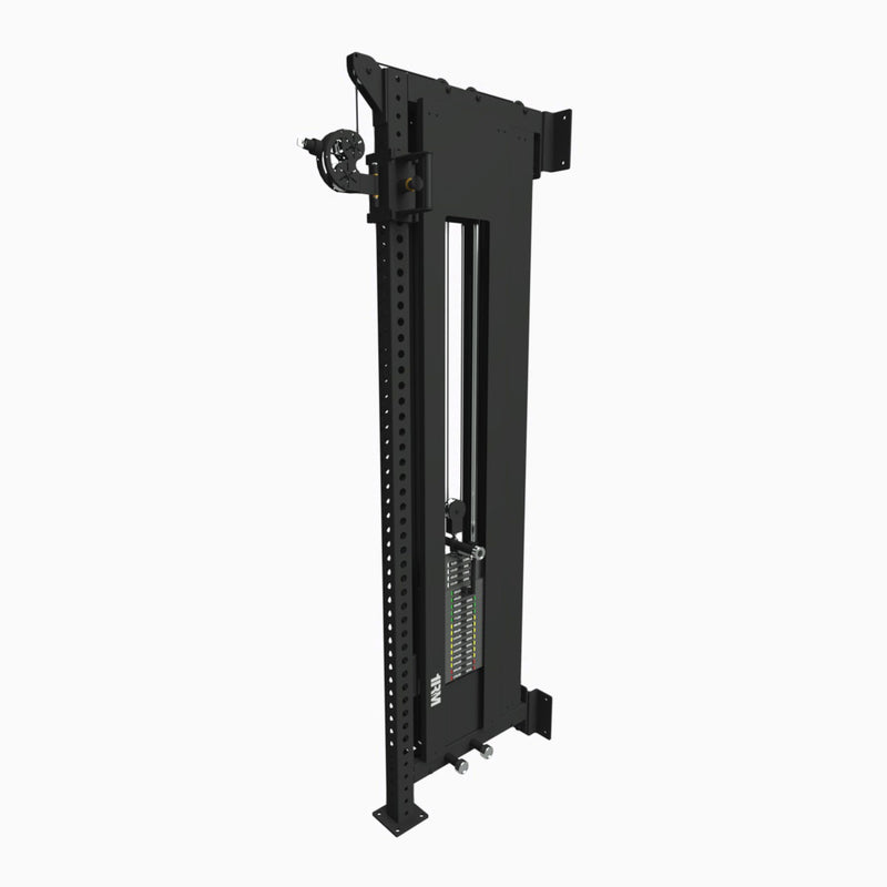1RM Ebony Cable Machine | Wall Mounted Image 2