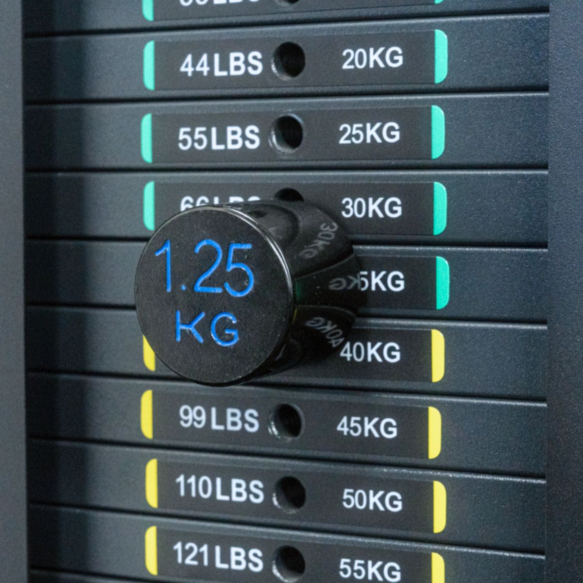 Cable Machine Pin Weight Stack Fractional Pins for Cable Machines | Little Bloke Fitness