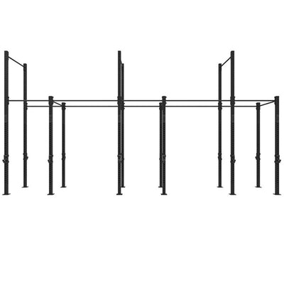 1RM Triple Free Standing Rig with High Low